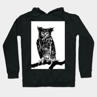 Long-eared owl Portrait Hoodie